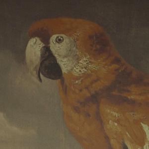 拨🍌🍌🍑男女视频
